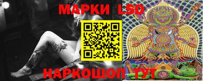 стаф Будённовск
