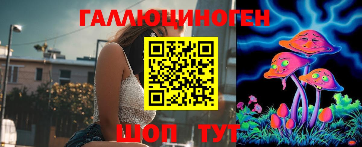 Псилоцибиновые грибы мицелий  Псилоцибиновые грибы Psilocybine cubensis  наркошоп  Раменское  Вход с VPN 